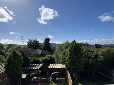 Picture 23